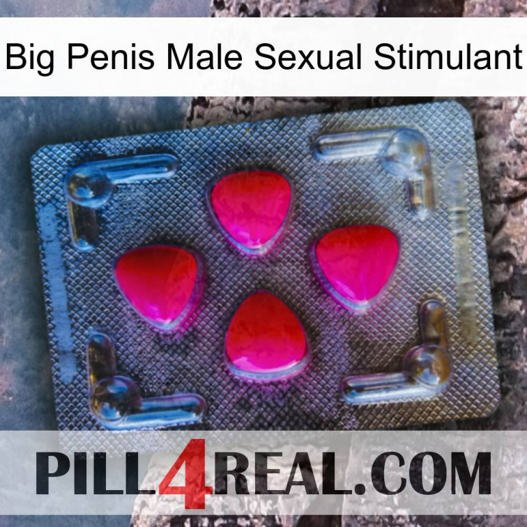 Big Penis Male Sexual Stimulant 13